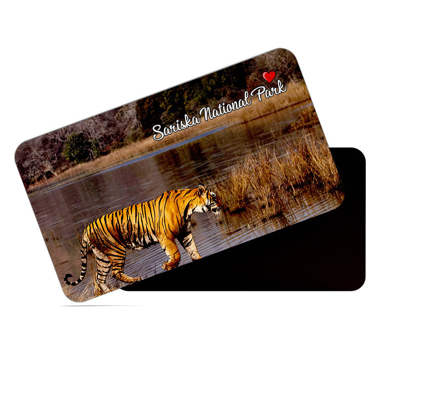 dhcrafts Rectangular Rubber Fridge Magnet / Magnetic Card Multicolor Sariska Tiger Reserve Rajasthan Design Pack of 1 (8.6cm x 5.4cm)